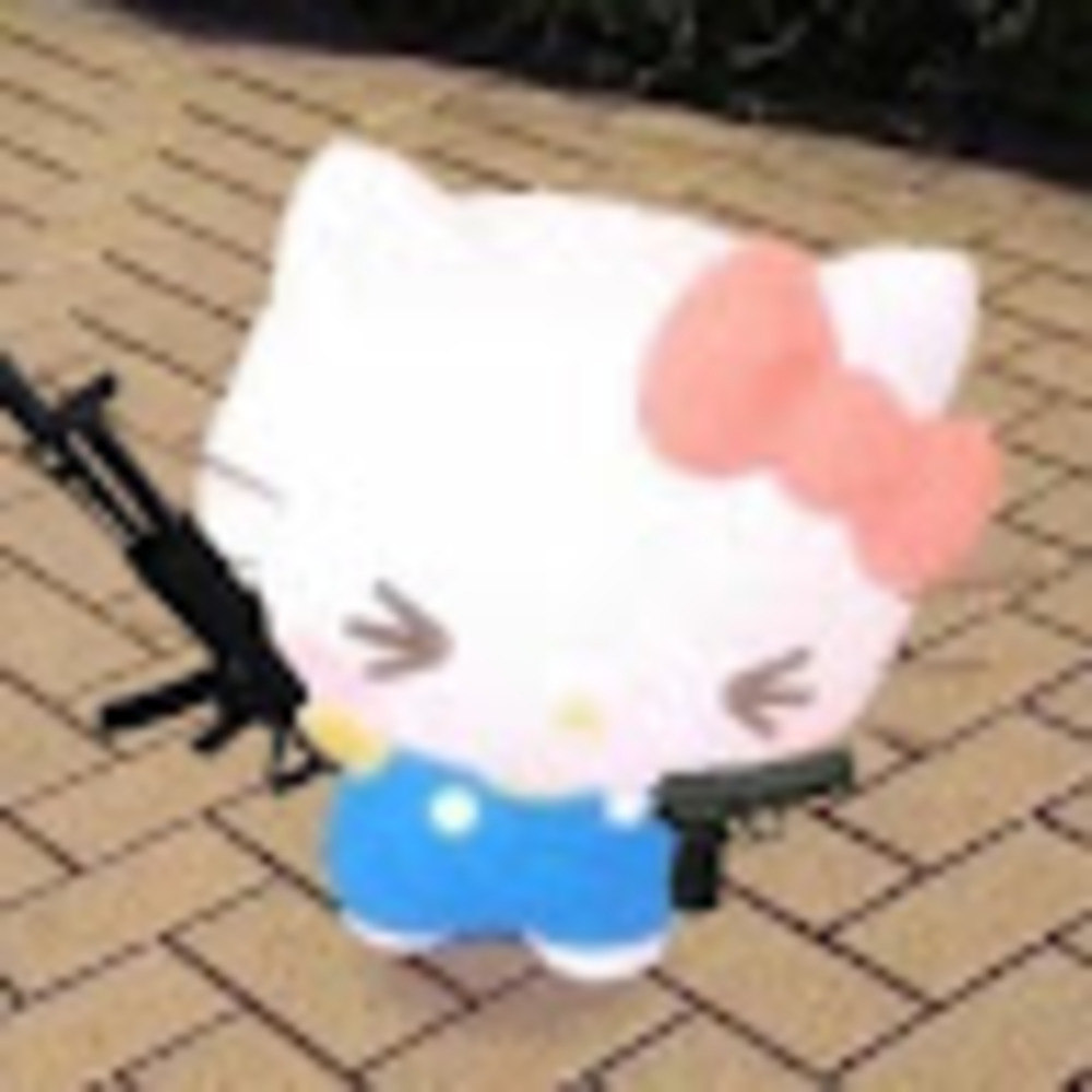 Meet your Posher, Devrseykitty
